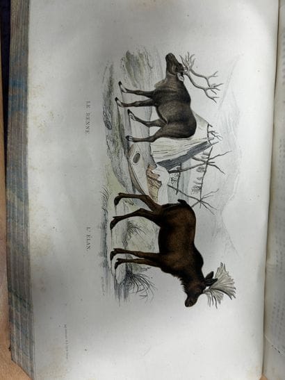 Œuvres de Buffon, chez Furne Paris. Six tomes,...