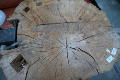 Section de bille de bois, environ 65 cm 
En...