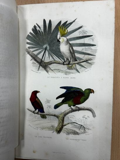 Œuvres de Buffon, chez Furne Paris. Six tomes,...