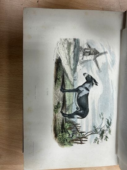 Œuvres de Buffon, chez Furne Paris. Six tomes,...