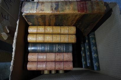 Réunion de livres Beaux-Arts, livres reliés...