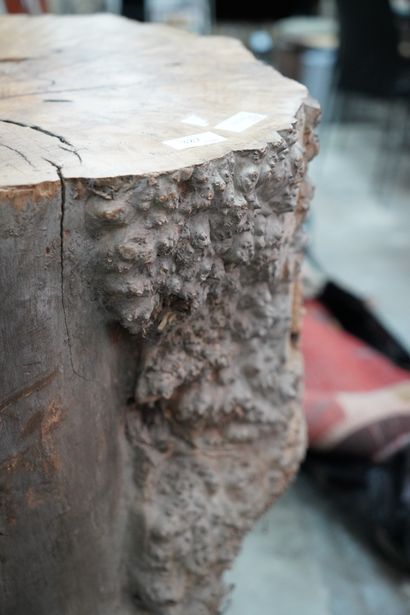 Section de bille de bois, environ 65 cm 
En...