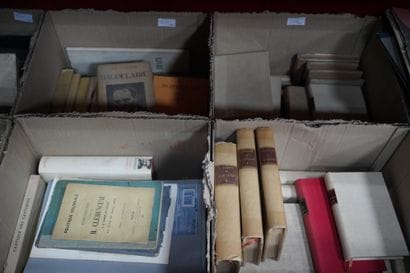 Réunion de livres Beaux-Arts, livres reliés....