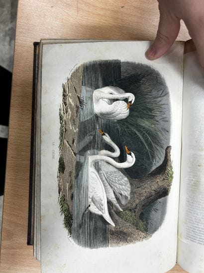 Œuvres de Buffon, chez Furne Paris. Six tomes,...