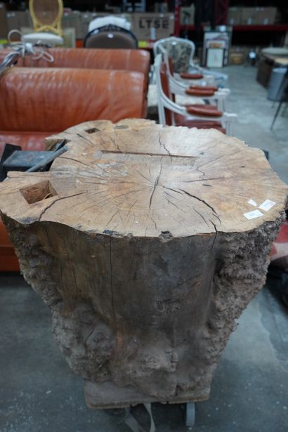 Section de bille de bois, environ 65 cm 
En...