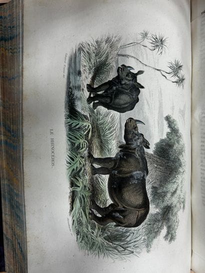Œuvres de Buffon, chez Furne Paris. Six tomes,...