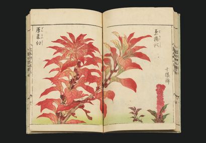 TACHIBANA YASUKUNI (1717-1792)
Ehon Noyama...
