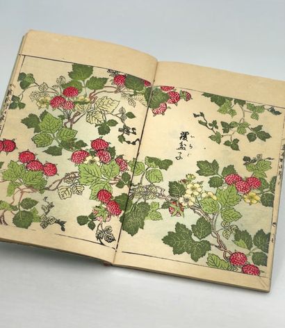 TACHIBANA YASUKUNI (1717-1792)
Ehon Noyama...