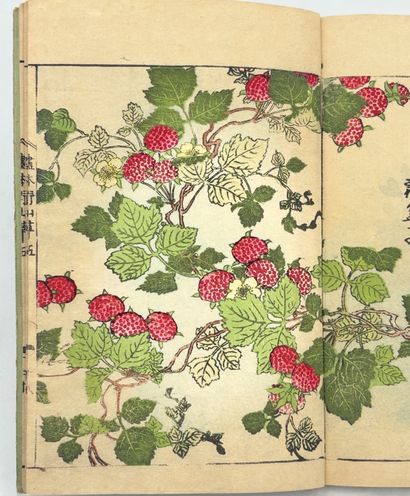 TACHIBANA YASUKUNI (1717-1792)
Ehon Noyama...