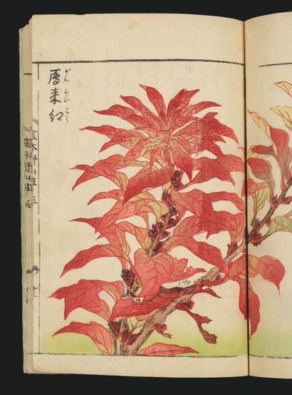 TACHIBANA YASUKUNI (1717-1792)
Ehon Noyama...