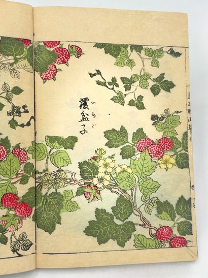 TACHIBANA YASUKUNI (1717-1792)
Ehon Noyama...