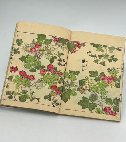 TACHIBANA YASUKUNI (1717-1792)
Ehon Noyama...