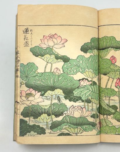 TACHIBANA YASUKUNI (1717-1792)
Ehon Noyama...