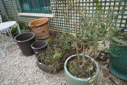 Réunion de cinq jardinières dont en terre...
