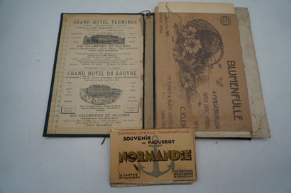 Cartes postales dont Souvenir du paquebot...