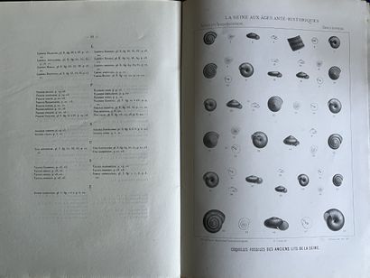 Catalogue des mollusques terrestres et fluviatiles...