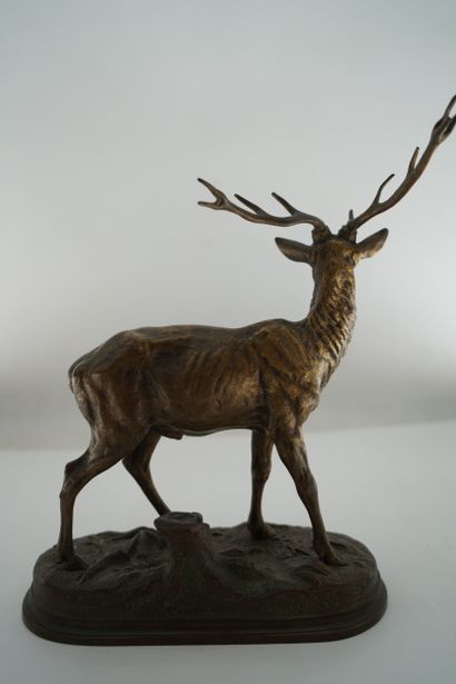 Alfred DUBUCAND (1828-1903), d'après
Cerf...
