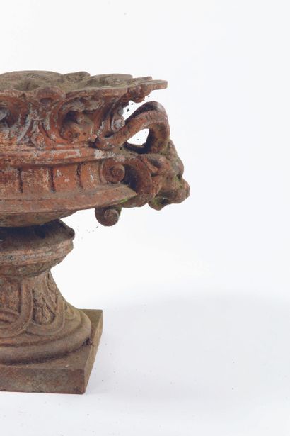 PAIR OF CHIMERA VASES
Cast-iron, the body...