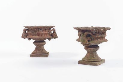 PAIR OF CHIMERA VASES
Cast-iron, the body...