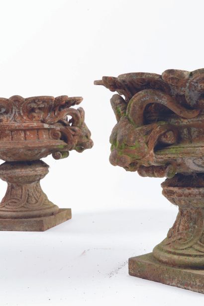 PAIR OF CHIMERA VASES
Cast-iron, the body...