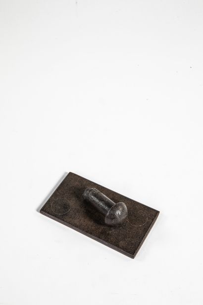 WORLD'S FAIR, PARIS 1889
RIVET FROM THE EIFFEL...