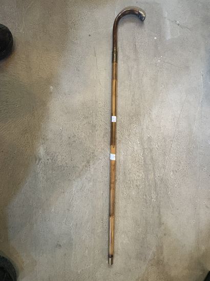 Canne épée, partiellement en bambou.
En ...