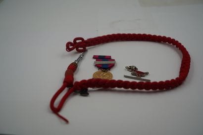Une médaille Troupes alpines, fourragère...
