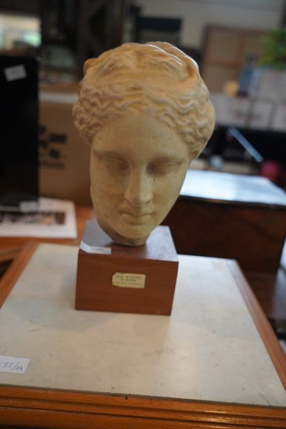 Tête dans le goût de l'Antique, en matière...