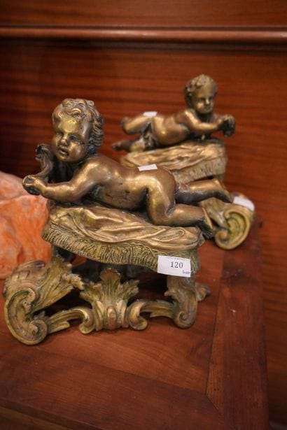 Paire de chenets en bronze doré, à décor...