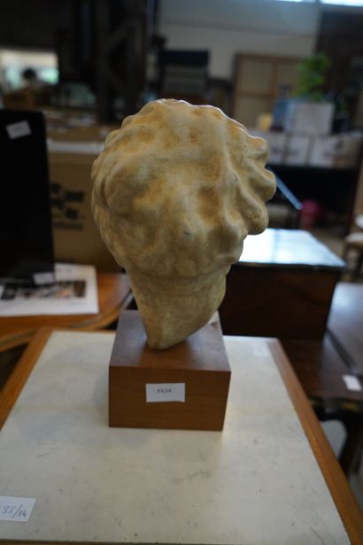 Tête dans le goût de l'Antique, en matière...