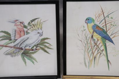 Lot de six encadrements : trois peintures...