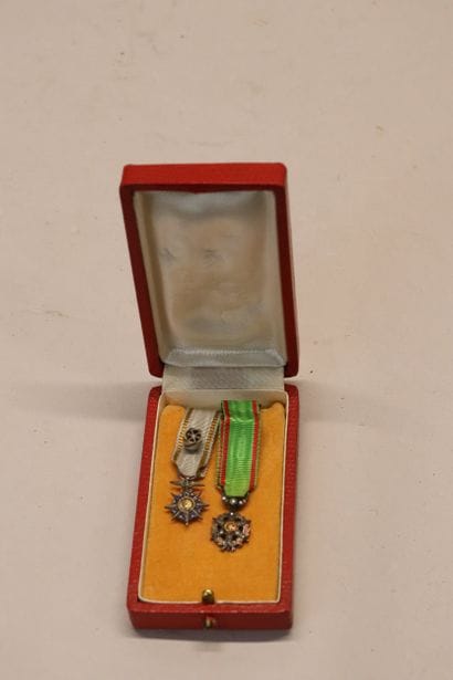 Deux médailles miniatures : ordre du mérite...