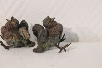 Bronze de Vienne : 2 oisillons polychrome...