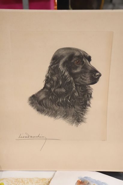 Lot de huit estampes (7 lithographies et...
