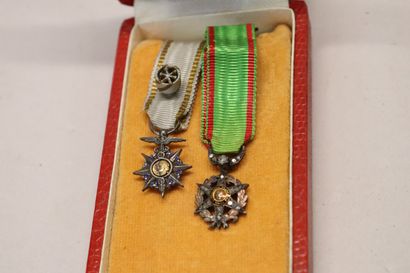 Deux médailles miniatures : ordre du mérite...