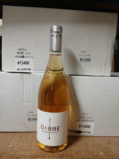 2020 DIANE Rosé bordeaux 6 Blles
Voir Photo...