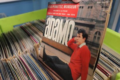 Importante collection de disques vinyles...