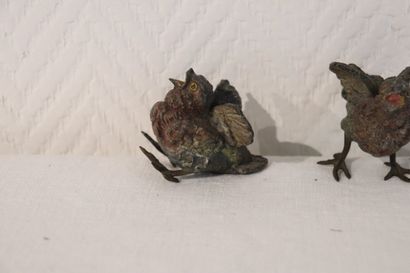 Bronze de Vienne : 2 oisillons polychrome...