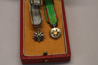 Deux médailles miniatures : ordre du mérite...