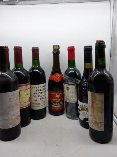 lot : 7 bouteilles
2009 LAMBRUSCO 1 Blle
1997...