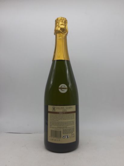 CAVA 