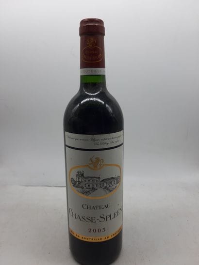 2003 Ch CHASSE SPLEEN, Moulis en Médoc, 1...