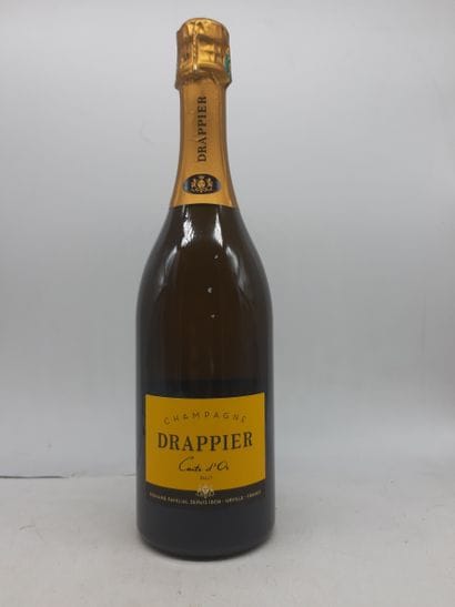 CHAMPAGNE DRAPPIER CARTE D'OR, Brut, 1 Blle
Voir...