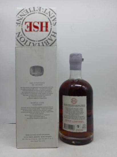 RHUM HSE (Habitation sainte Etienne)