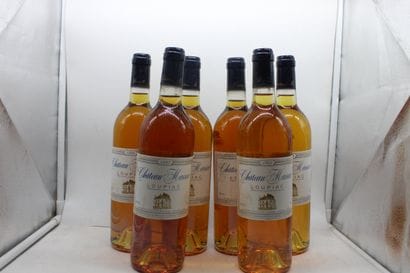 1993 Ch MASSAC, Loupiac, 6 Blles
Voir photo...