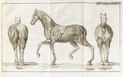 Philippe-Étienne LAFOSSE. Cours d'hippiatrique,...