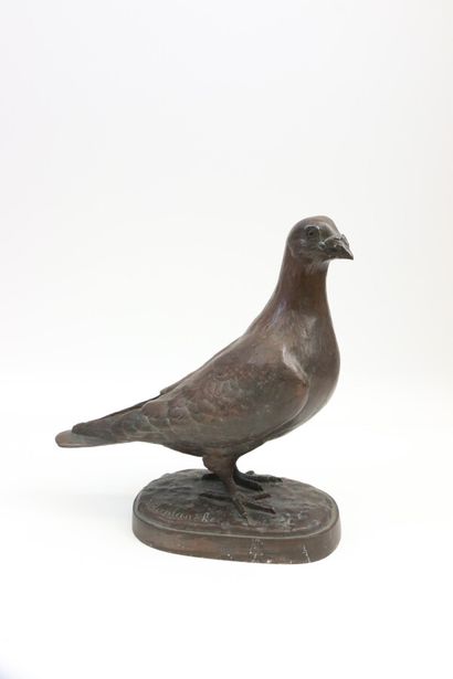 Albert LAPLANCHE (1854-1935)

Pigeon sur...