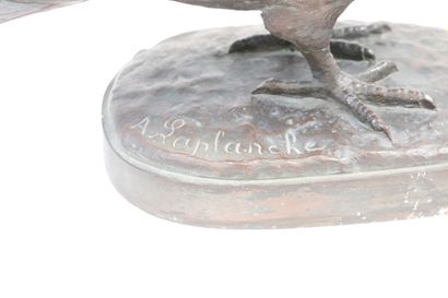 Albert LAPLANCHE (1854-1935)

Pigeon sur...