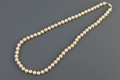 Collier choker de perles de culture de couleur...