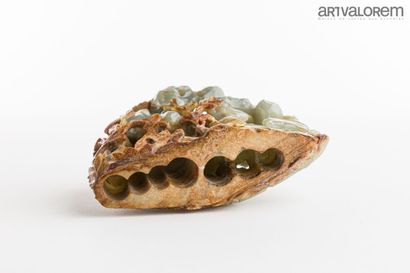 CHINE, dynastie Qing, XVIII - XIXème siècle

Rocher...